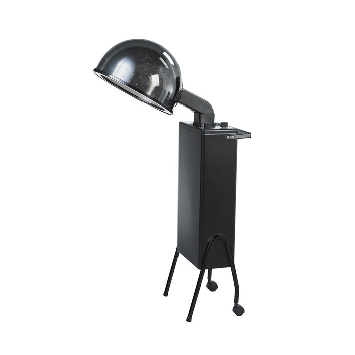 Takara Belmont Gemini II Hair Dryer