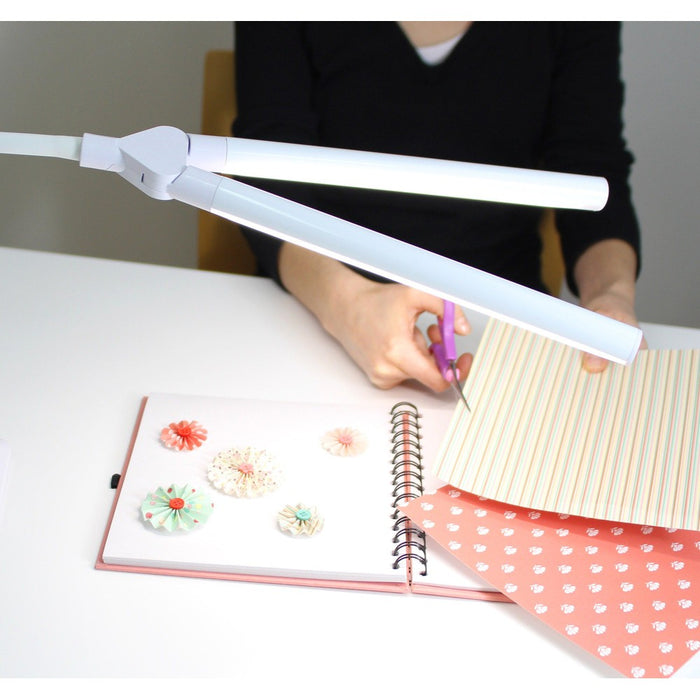 Daylight DuoLamp Clamp